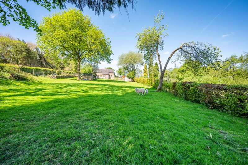 Garden- click for photo gallery